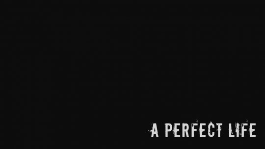 A Perfect Life HD